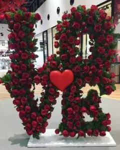 a87ba66c6c1f1f46c0b93bcaa42a12c0