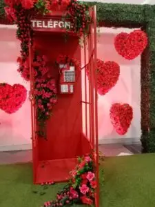 e2d50addd12a8b9ffd6b1a4db01cc201